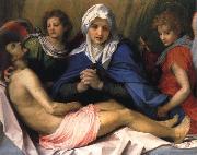 Lamentation of Christ Andrea del Sarto